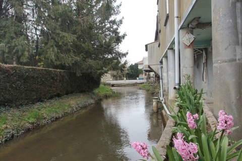 Maison en bordure du Thouet